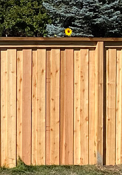 Cedar Privacy Fence - Sonrise NoCo